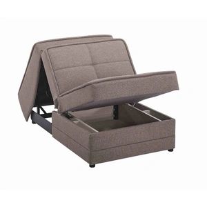 Casamode Studio Chenille Fabric Storage Convertible Sleeper Chair