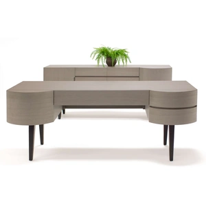 Sharelle Furnishings Chloe Wood Veneer Desk, Light Gray