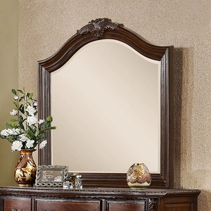 Furniture of America Monte Vista Wood Mirror, Brown Cherry