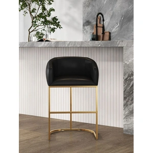 Manhattan Comfort Louvre 36-inch Leatherette/Stainless Steel Counter Stool