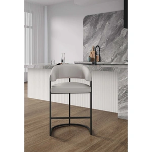 Manhattan Comfort Augusta Leatherette/Metal Counter Stool