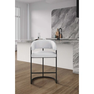 Manhattan Comfort Augusta Leatherette/Metal Counter Stool