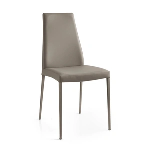Calligaris Aida Skuba Leatherette/Metal Dining Chair (Set of 2)