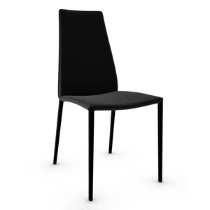Calligaris Aida Leather/Metal Dining Chair (Set of 2)