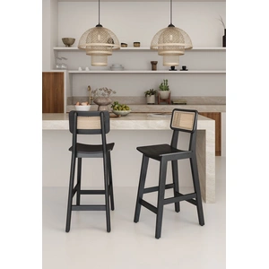 Manhattan Comfort Versailles Rattan/Wood Counter Stool