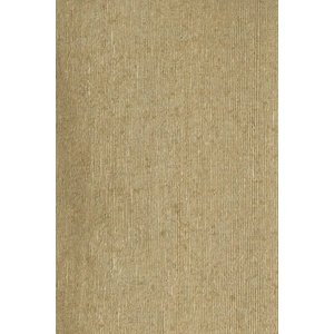 Chandra CUS28031 Tussar Silk Handmade Cushion, Natural