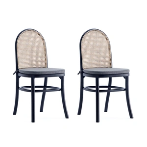 Manhattan Comfort Paragon Dining Chair 1.0 w/Cushions (Set of 2)