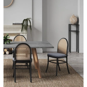 Manhattan Comfort Paragon Dining Chair 1.0 w/Cushions (Set of 2)