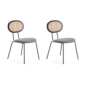 Manhattan Comfort Jardin Dining Chair (Set of 2)