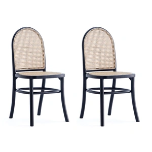 Manhattan Comfort Paragon Dining Chair 2.0 (Set of 2)