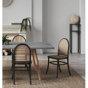 Manhattan Comfort Paragon Dining Chair 2.0 (Set of 2)