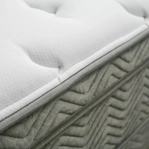 Furniture of America Afton 12-inch Euro Box Pocket Coil Fabric Foam Mattress, White/Gray
