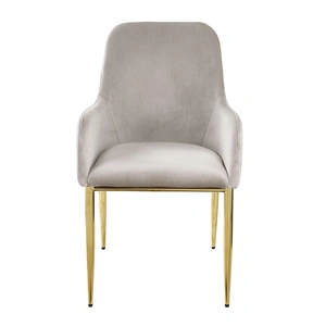 ACME Barnard Velvet Dining Side Chair, Gray/Gold (Set of 2)