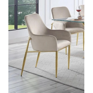 ACME Barnard Velvet Dining Side Chair, Gray/Gold (Set of 2)