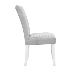 ACME Elizaveta Velvet Dining Side Chair, Gray (Set of 2)