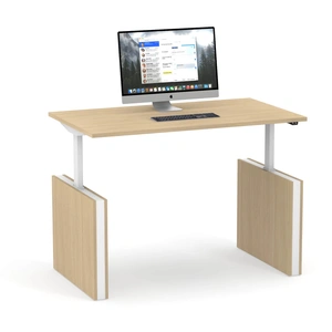 NARBUTAS Motion 55.1-inch Electric Adjustable Office Desk w/2 Level Columns and Panel Legs