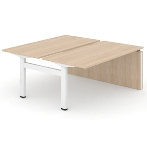 NARBUTAS Motion Electric Height Adjustable Office 2-Desk Bench w/Open Metal Leg & Panel Leg, 2 Level Columns