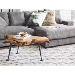 MOE'S Natural Teak Coffee Table w/Cast Iron Legs