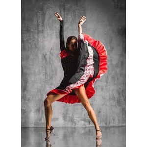 J&M Furniture Premium Acrylic Wall Art Flamenco