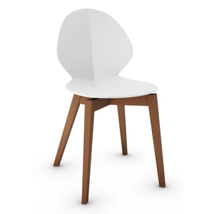 Calligaris Basil Polypropylene/Leather/Wood Dining Chair (Set of 2)