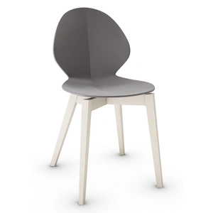 Calligaris Basil Polypropylene/Leather/Wood Dining Chair (Set of 2)