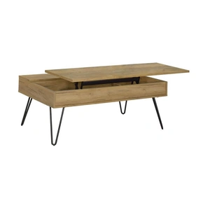 Coaster Fanning Wood Veneer Lift Top Storage Coffee Table, Golden Oak/Black