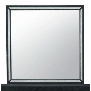 Global Furniture USA Reid Wood Mirror, Black