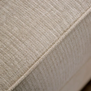 Furniture of America Germaine Chenille Fabric Loveseat in Ivory