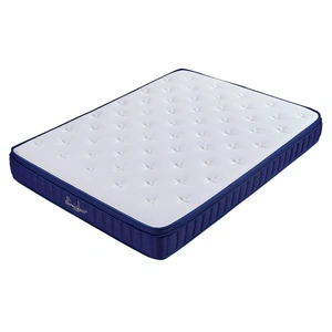 Pantek Furniture SP10 12-inch Euro Top Compressed Mattress (Rolled Up)