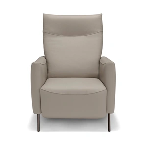 Diven Living Tea Leather Manual Reclining Armchair in Spessorato Creta 