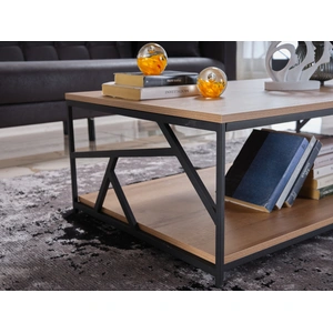 Bellona USA Whimsy Wood/Metal Rectangular Coffee Table