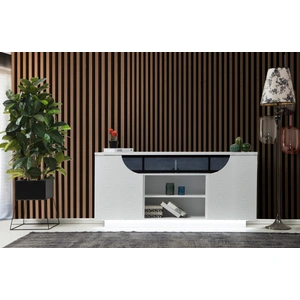 Modern Art SM Ethan TV Stand w/2 Doors & Open Shelf