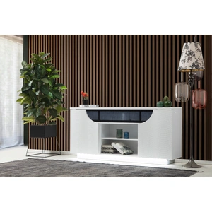 Modern Art SM Ethan TV Stand w/2 Doors & Open Shelf