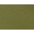 2538 Olive