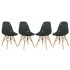 Transparent Black/Brown
