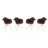 Coffee Brown/Silver