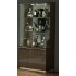 High Gloss Walnut