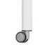 R - Castors