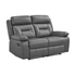 Dark Gray/Manual Reclining